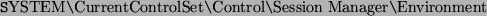 \begin{code}
SYSTEM\texttt{\symbol{92}}CurrentControlSet\texttt{\symbol{92}}Control\texttt{\symbol{92}}Session Manager\texttt{\symbol{92}}Environment
\end{code}