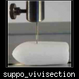 suppo_vivisection.jpg