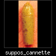 suppos_cannette.jpg