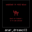 anar_dreamc03.jpg