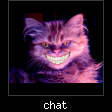 chat.jpeg