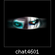 chat4601.jpg