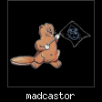 madcastor.jpg