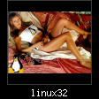 linux32.jpg