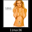 linux36.jpg