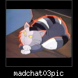 madchat03pic.jpg