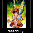 butterfly3.jpg