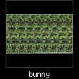 bunny.jpg