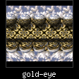 gold-eye.jpg