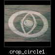 crop_circle1.gif/