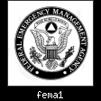 fema1.jpg