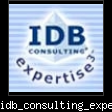 idb_consulting_expertise3.jpg